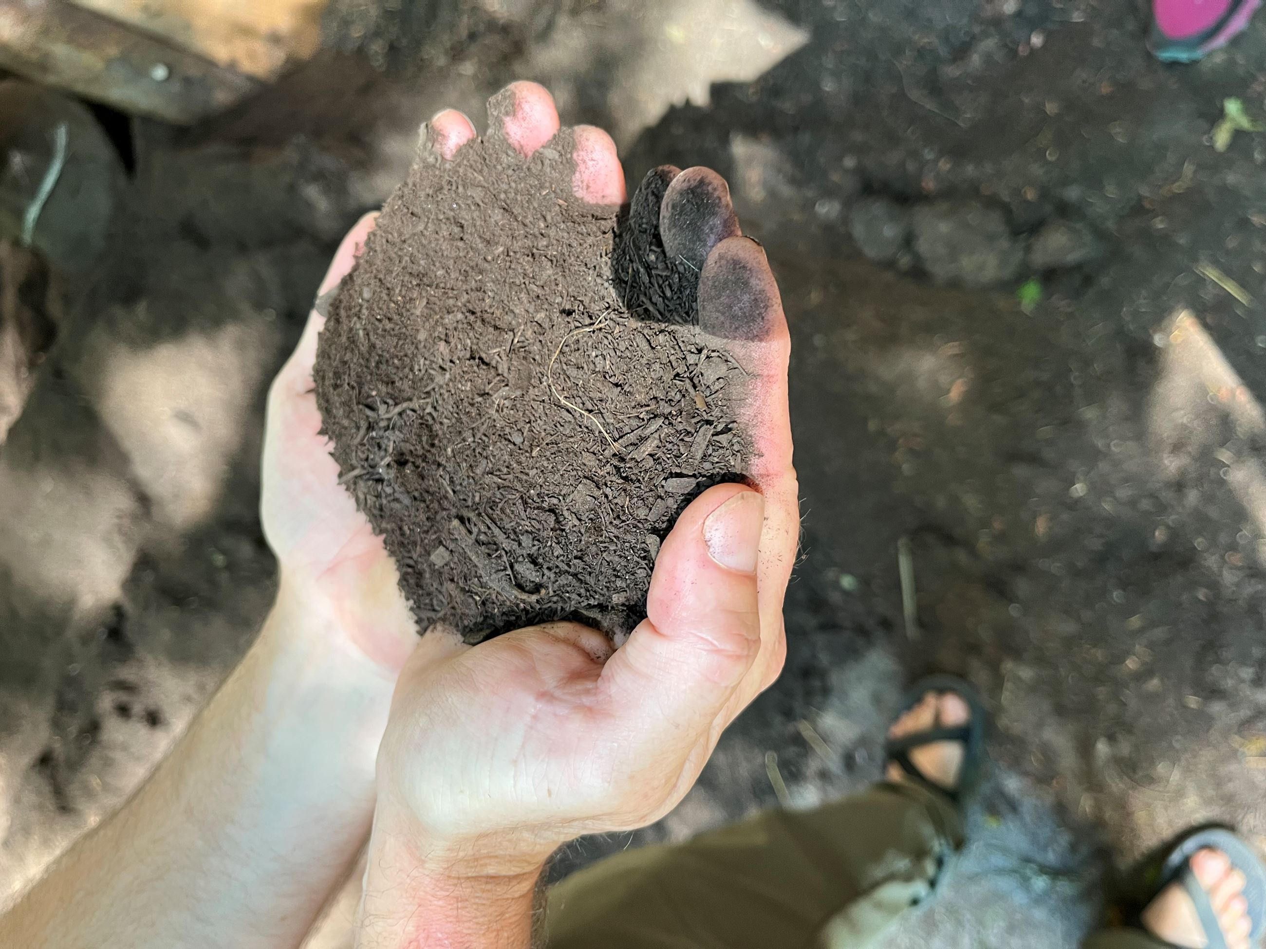 Fine compost product held in hands