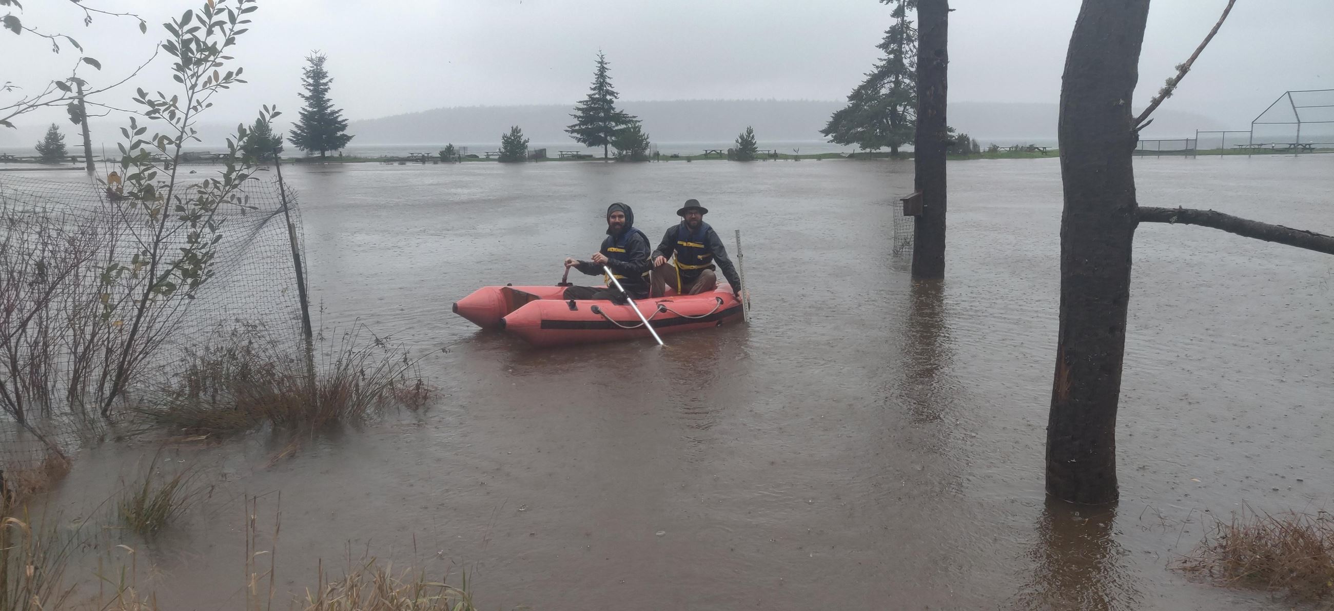 Flooding at Odlin Park on 11.15.21 - photo by Krista Davis
