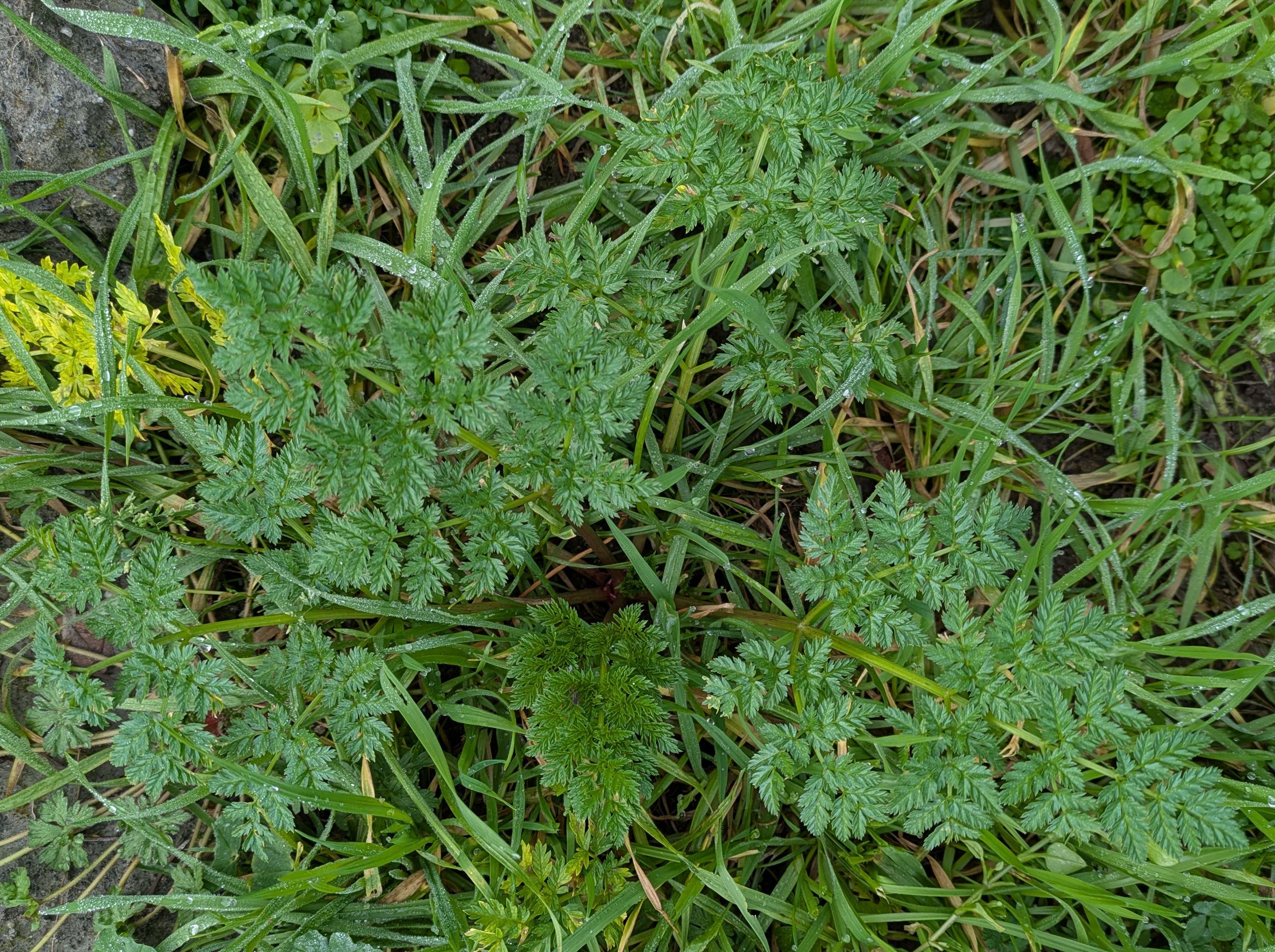 PXL_20250109_201812213