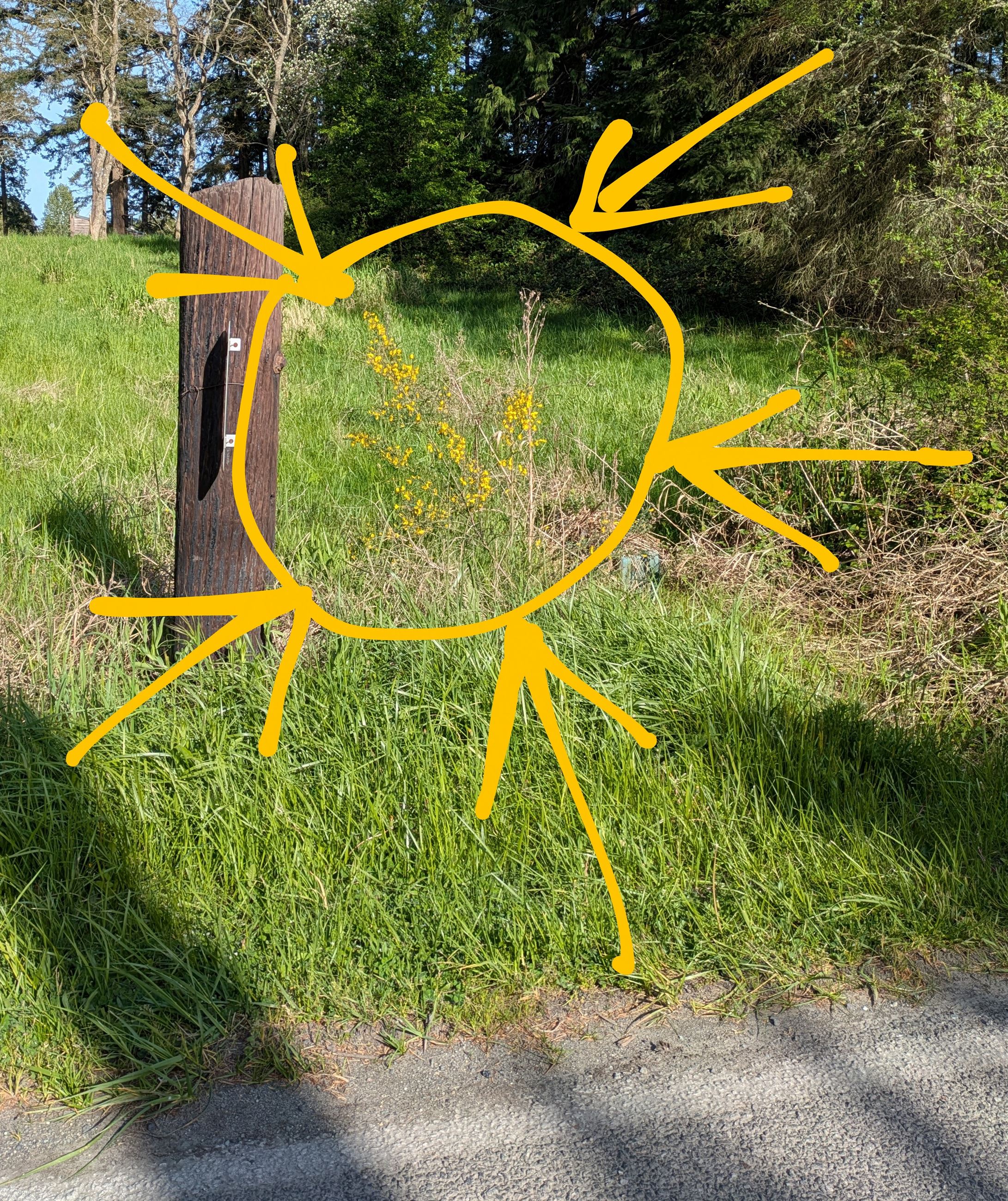 PXL_20250501_000135598~2