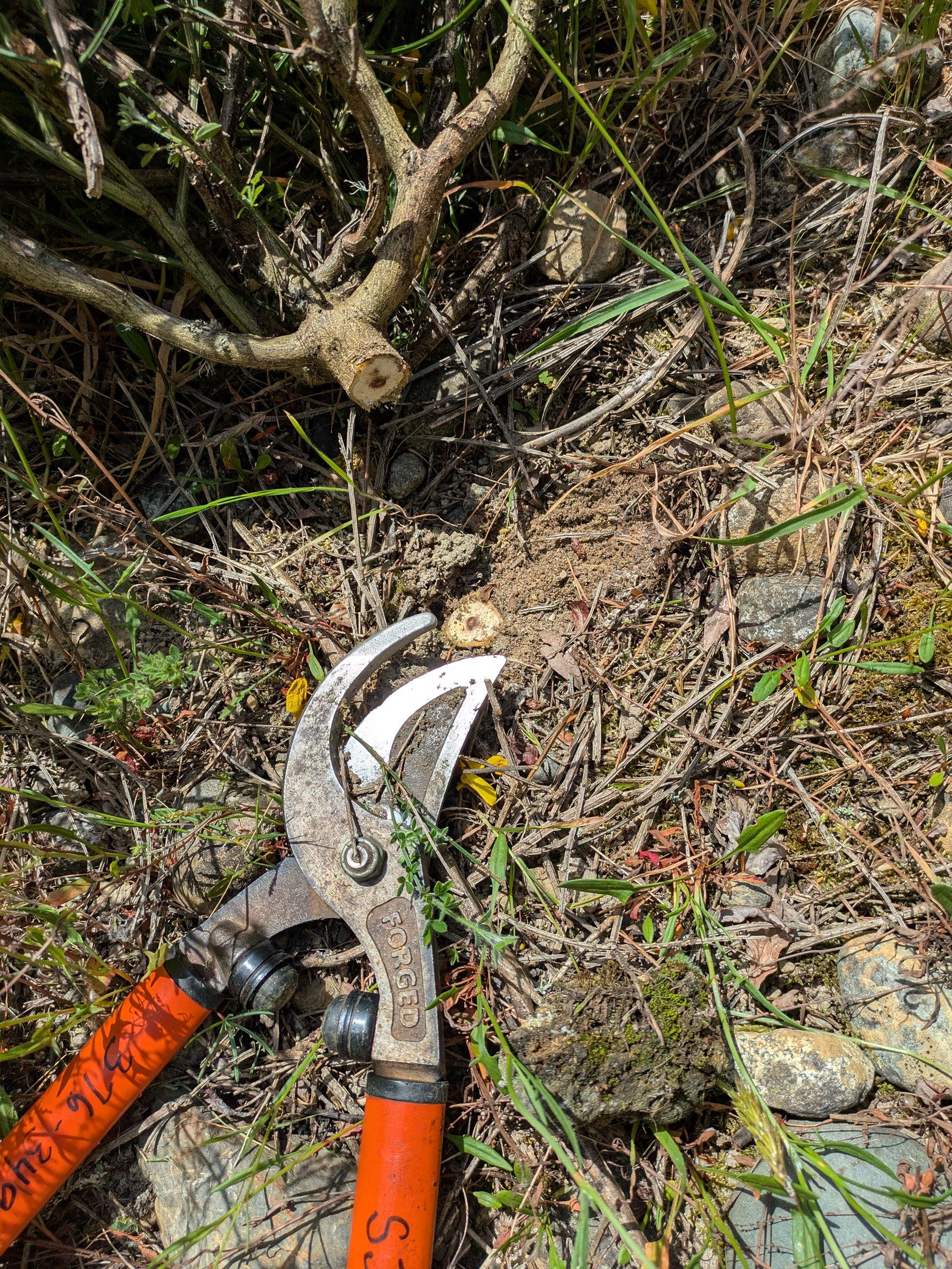 PXL_20250430_213847246