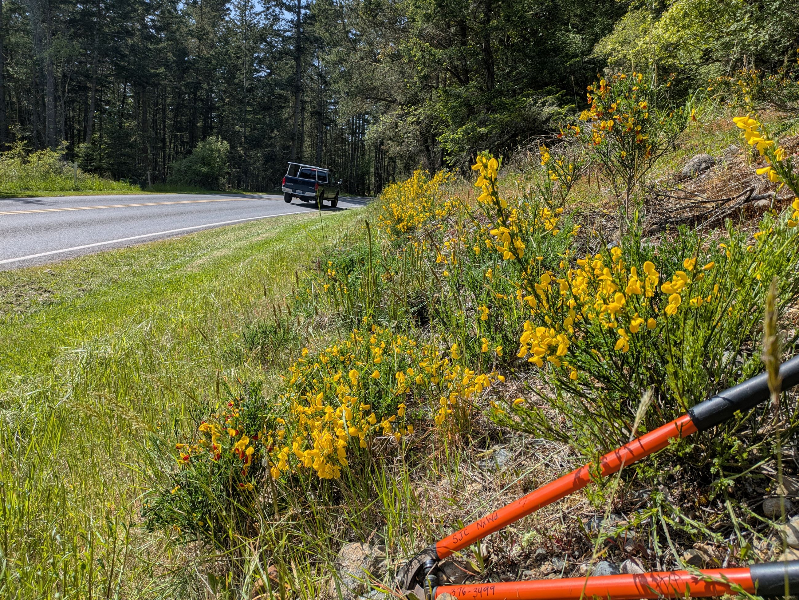 PXL_20250430_213616868