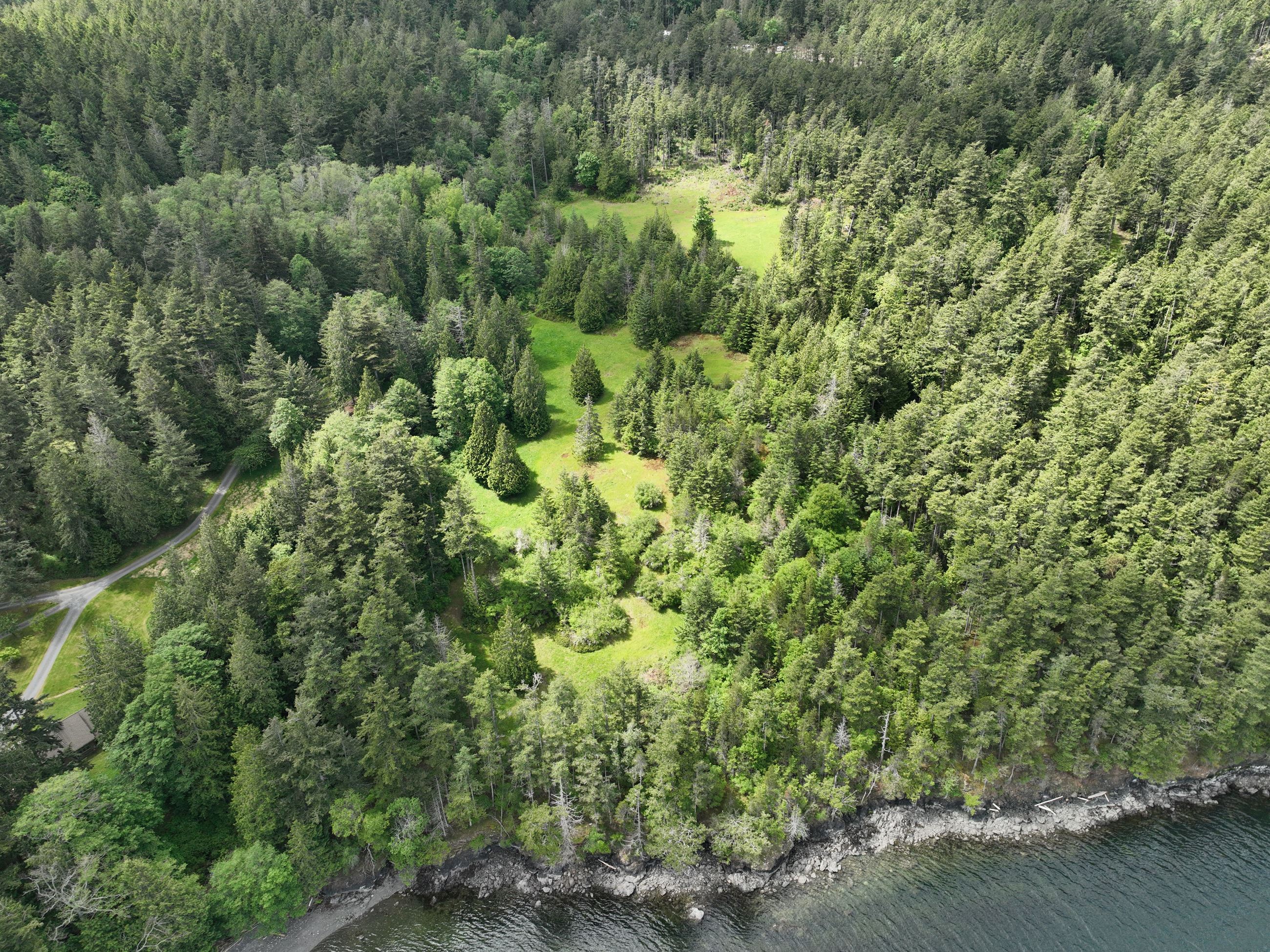 Dolphin Bay_Overhead