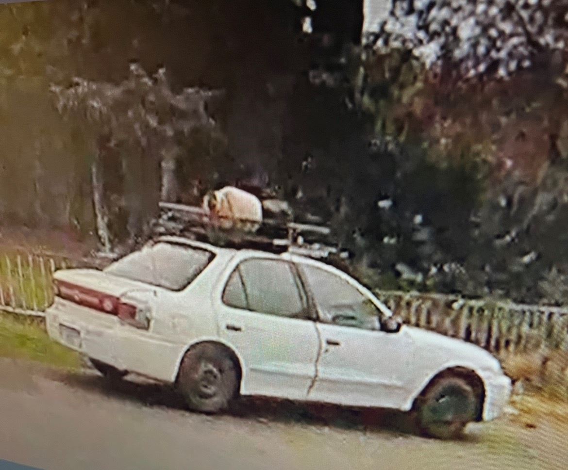 Sheriff Office Mail Theft