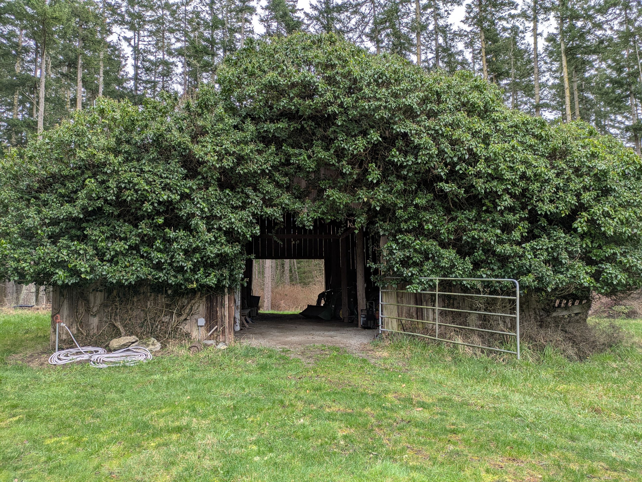 PXL_20250311_210607828