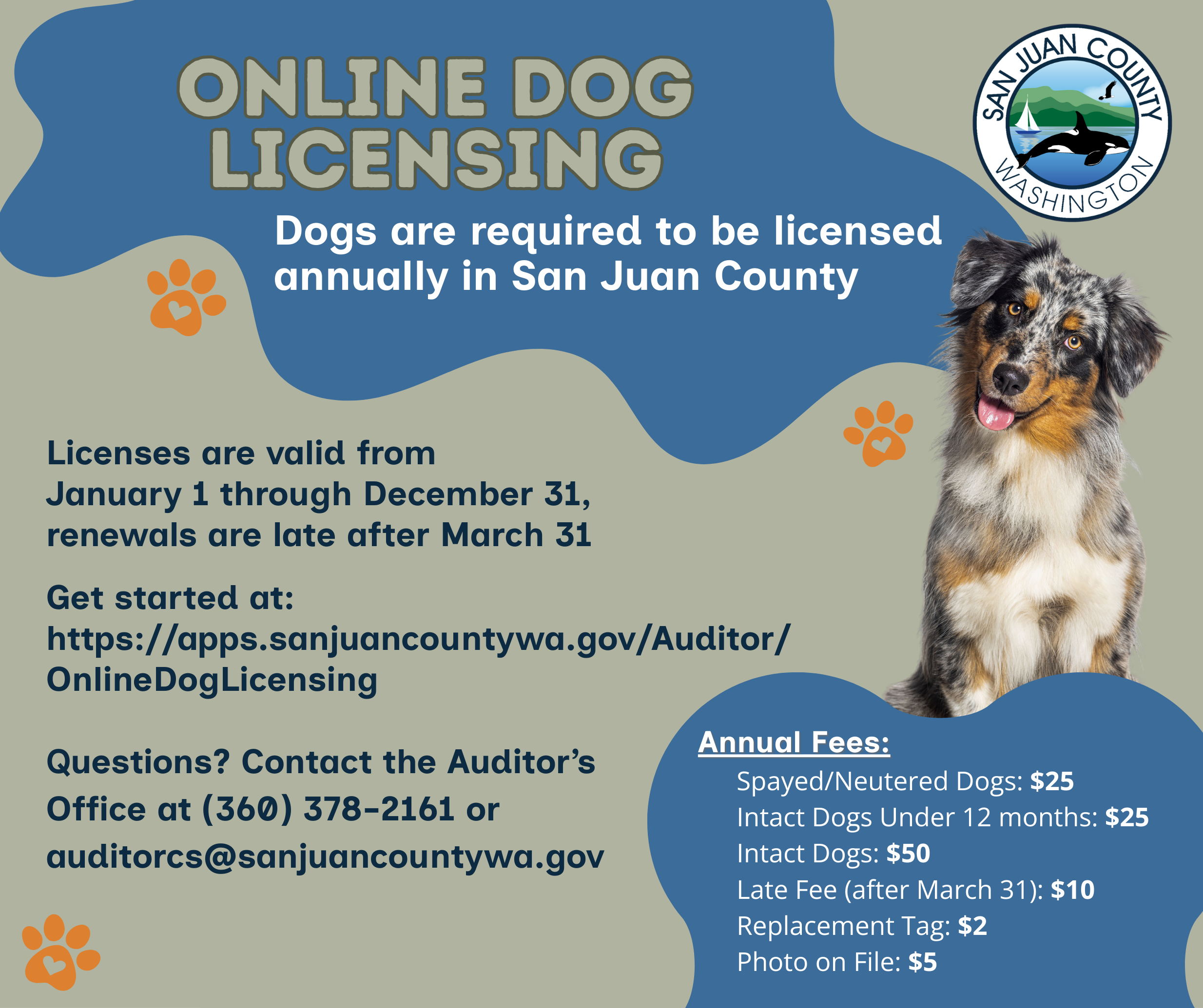 Online Dog Licensing Poster (Facebook Post)