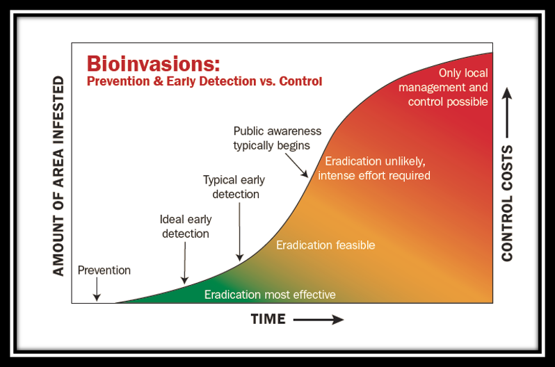 Bioinvasions curve