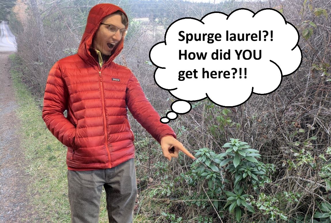 PXL_20260129_220754965